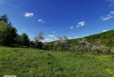 Teren de 680 mp, în Budeasa - 2