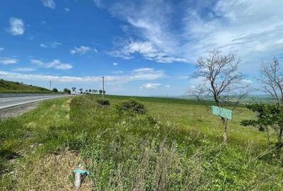 Teren agricol de 18100 mp, în Tureni - 4