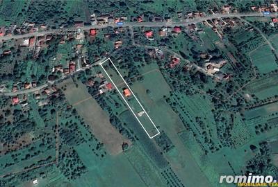 FILM! Domeniu de 5.000mp +Casa, in Berchez:o bijuterie ascunsa a Maramuresului