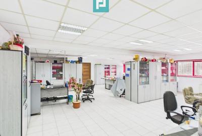 Hală de producție, cu birouri și teren, în Sebiș - 31