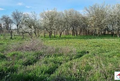 Casă cu 3 camere cu Teren 1440 Mp în Corod - 11