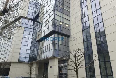 Birou, de 360 mp, în Muncii - 15