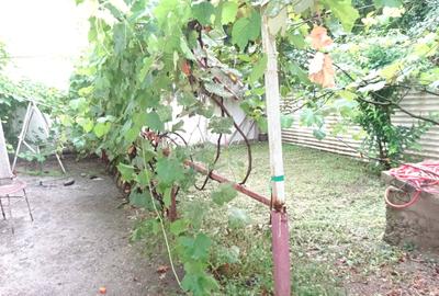 Casă cu 4 camere cu Teren 198 Mp în Aurel Vlaicu - 2