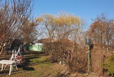 RECO Teren Santandrei 2000mp RECO Teren Santandrei 2000mp - 3