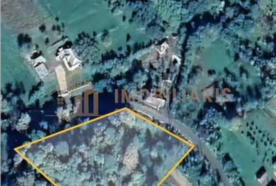 Teren de 8000 mp, în Ardusat - 1