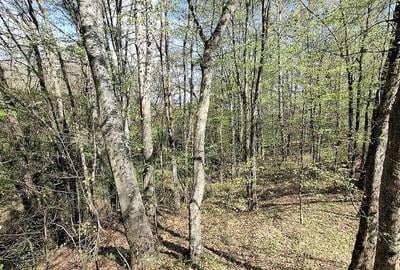 Teren de 5000 mp, în Valea Danului - 2