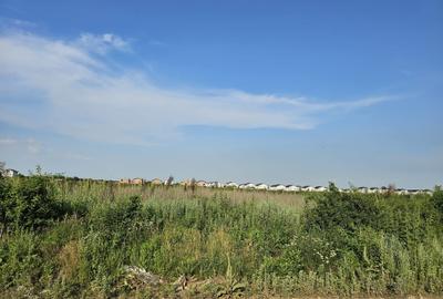 Otopeni-Ferme, teren intravilan 3.415mp, 46.65ml deschidere - 4