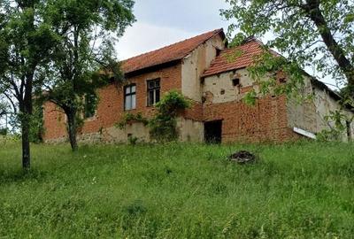 Teren de 60000 mp, în Cornea - 3
