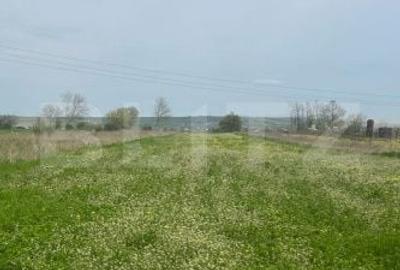 Spațiu comercial, în Prunet - 2