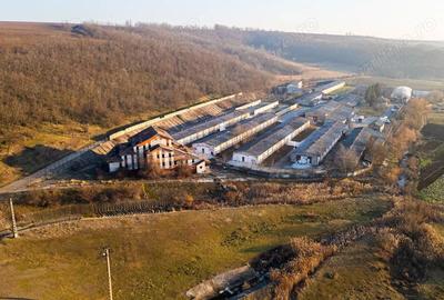 Spațiu comercial, de 50,000 mp, în Horgești - 6