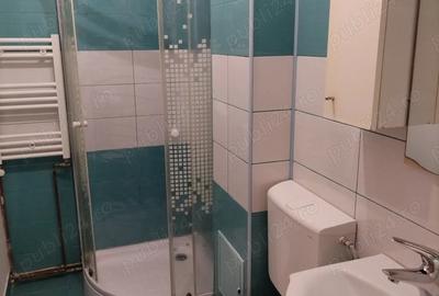 Apartament de inchiriat in zona Rahovei - 5