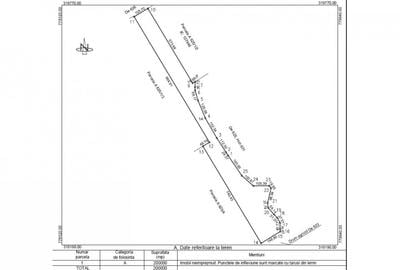 20 Hectare Teren extravilan M. Kogalniceanu, acces DN 2A prin DE623/DE624 - 4