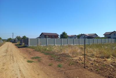 Adunatii Copaceni, Giurgiu - 4