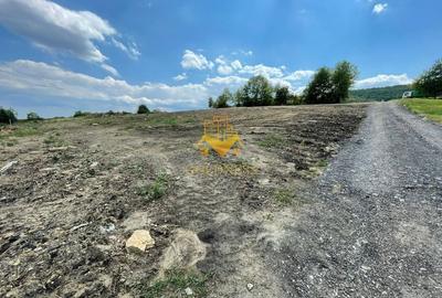 Terenuri de vanzare, Parcelabil, Valea Chintaului, Zona Beta Residence - 8