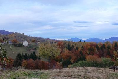 2000 mp, teren intravilan Pestera, Brasov, comision 0% - 13