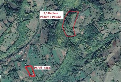 Teren de 35000 mp, în Parva - 6
