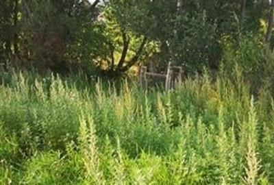 Proprietate autentica, stil traditional:Eco, cu parau pitoresc si vedere spectac - 16