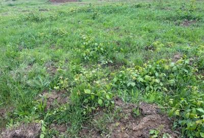 Teren de 3336 mp, în Central - 1