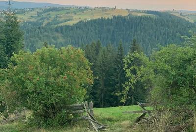 Spațiu comercial, în Mărișel - 7