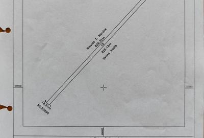 Teren agricol extravilan de 15008 mp, în Nuci - 6