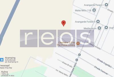 TEREN DE VANZARE| MATEI MILLO | 481 MP | FRONT 19 MP | OPORTUNITATE | - 3