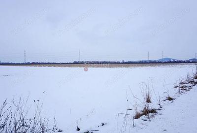Teren de 40000 mp, în Tractorul - 7