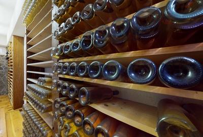 REV2004740 Vila Superba de Vacanta l Breaza I Teren 2882 mp REV2004740 Vila Superba de Vacanta l Breaza I Teren 2882 mp - 16