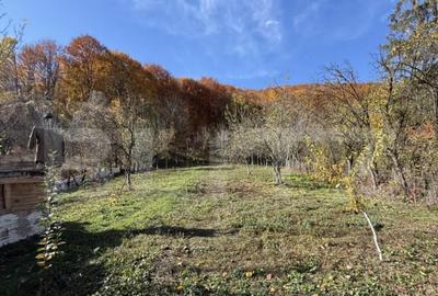 Oportunitate! Casa cu 2000 mp teren, Moreni Oportunitate! Casa cu 2000 mp teren, Moreni - 3