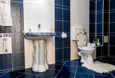 Investitie - vanzare vila deosebita, zona Fundeni - Dobroesti - 31