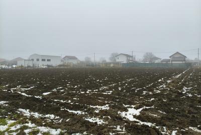 Teren Construcții intravilan de 1500 mp, în Moara Vlăsiei - 2