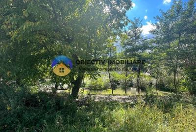 Teren Construcții intravilan de 6092 mp, în Turturești - 5