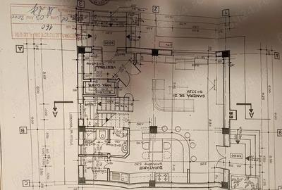Casă cu 5 camere cu Teren 2100 Mp în Ordoreanu - 10