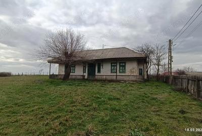 Casă cu Teren 3800 Mp în Central - 2