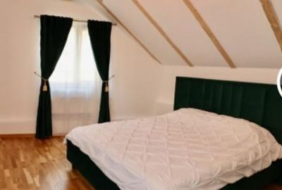 Apartament 2 camere modern-lux- Centrul Vechi Pet Friendly - 2