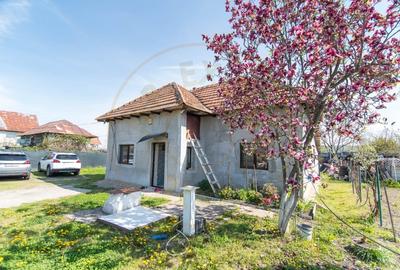 Casă individuală cu 3 camere cu Canalizare în Merișani - 1