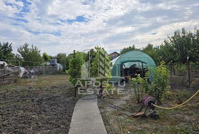 Casă cu 4 camere cu Teren 797 Mp în Mehala - 6
