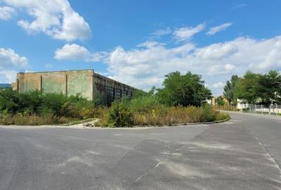 Proprietar vand Hala si Spatii Birouri S=3.400 mp pe Platforma Industriala Roman - 3