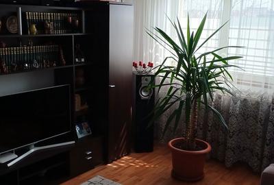 Apartament cu 2 camere decomandat în Vest - 6