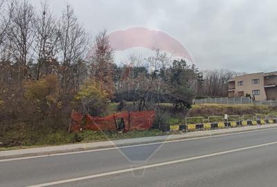 Oportunitate investi?ie B. Felix teren intravilan cu PUZ... - 11