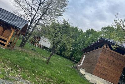 Spațiu comercial, în Satu Nou de Sus - 3