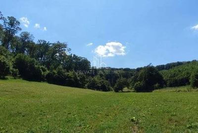 Teren de vanzare, 20.000Mp , Comuna Danes, drumul Crisului - 18