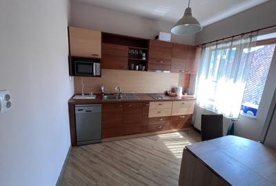 Apartament 2 Camere în Vilă Centrală - 5