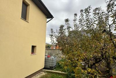 CASA DE VIS SAU AFACERE DE SUCCES BAIA SPRIE - 29