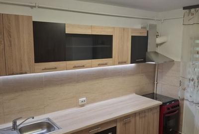 Apartament cu 2 camere semidecomandat în Paltiniș - 1