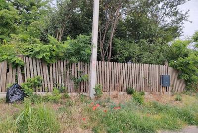 Casa de vanzare si 7600 mp teren intravilan Dor Marunt, Calarasi - 2