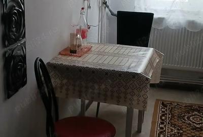Apartament cu 2 camere semidecomandat în Vulcan - 1