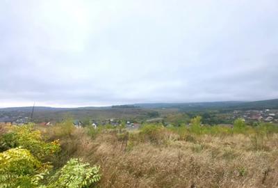 Teren de 774 mp, în Bârnova - 5