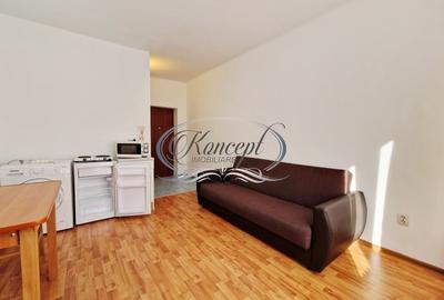 Garsonieră semidecomandată, mobilată în Gruia - 3