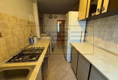 Apartament 2 camere Alexandru cel Bun- 5 min Parcul Voievozilor - 34