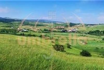 Teren de vanzare intravilan  in Cluj-Napoca, Strada Soporului 11.594 mp - 2